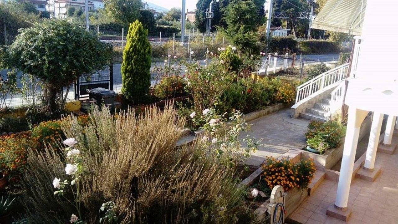 Plaza Studios Leptokarya  Bagian luar foto